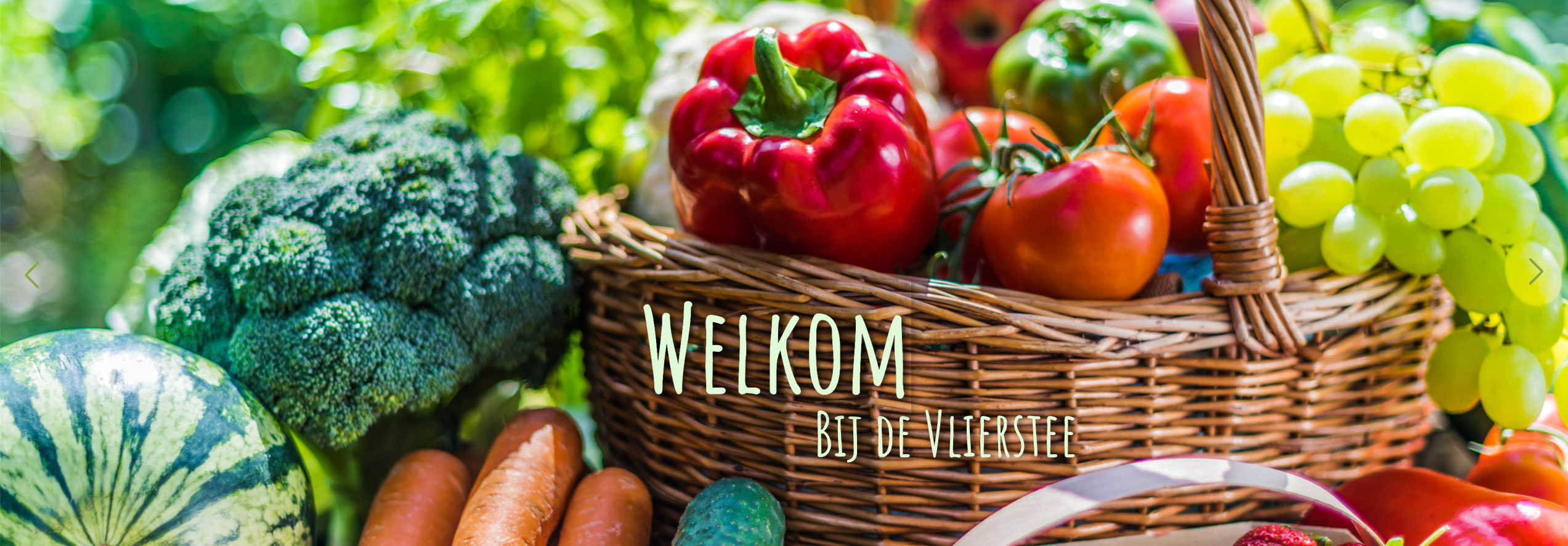 Welkom bij Vlierstee